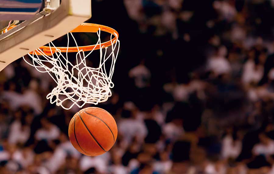 Professional Basketball Coaching